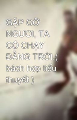 GẶP GỠ NGƯƠI, TA CÓ CHẠY ĐẰNG TRỜI.( bách hợp tiểu thuyết )