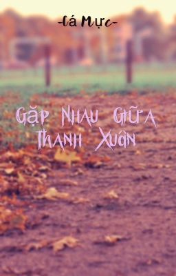 Gặp Nhau Giữa Thanh Xuân