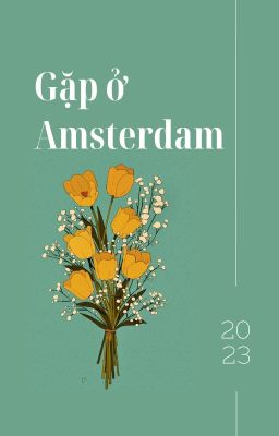 | Gặp ở Amsterdam