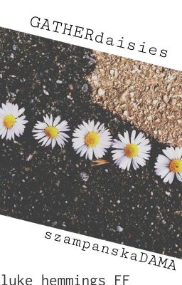 gather daisies || hemmings