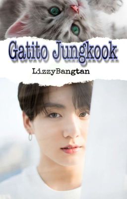 Gatito Jungkook 