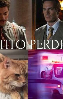 Gatito perdido