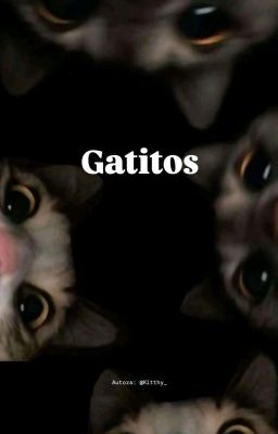 Gatitos