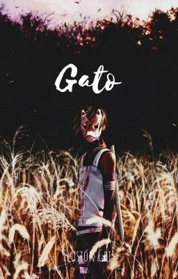 Gato