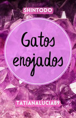 Gatos enojados - ShinTodo