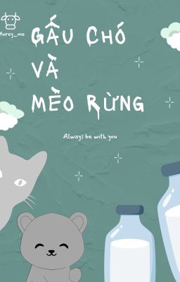 Gấu Chó và Mèo Rừng