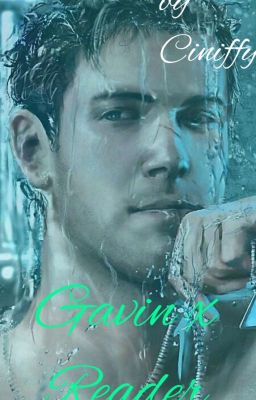 Gavin x Reader ✔