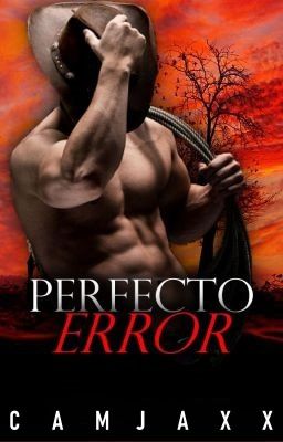 [GAY] Perfecto Error