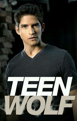 Gay Teen wolf x male reader (Request Closed)