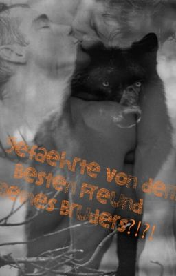 Gefährte von dem Besten Freund meines Bruders?! (BoyxBoy) #wattys2015 *BEENDET*