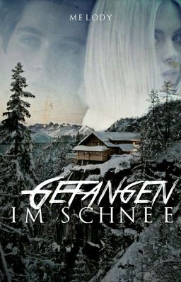 Gefangen im Schnee ✓