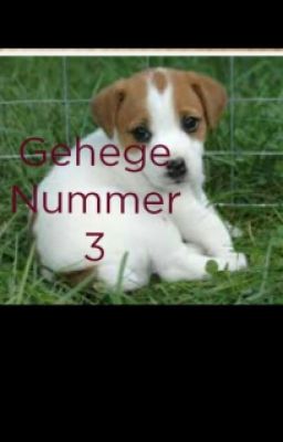 Gehege Nummer 3 (Pausiert)