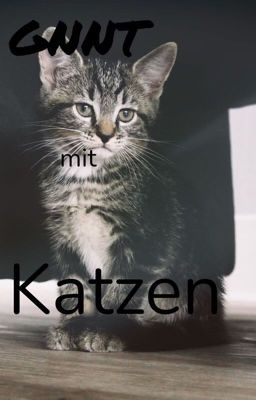 Germanys Next Topmodel mit Katzen