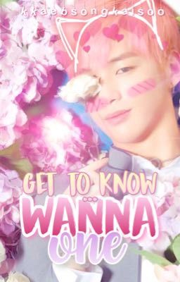 get to know ➳ wanna one