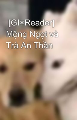 [GI×Reader] Mộng Ngọt và Trà An Thần