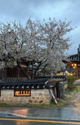 Gió Nổi, Lúa Lay