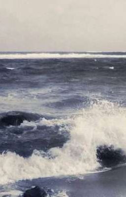 Giọt Lệ Vàng Và Những Mùa Thu