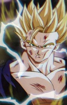 Gohan en Boku no hero 