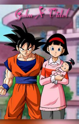 Goku X Videl FANFIC