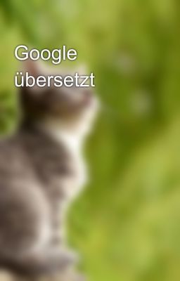 Google übersetzt