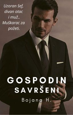 GOSPODIN SAVRŠENI *Završena*