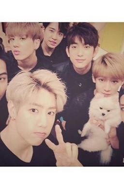 [Got7 Couple ] Got7 is Love