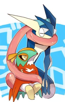 Greninja x Hawlucha Oneshots