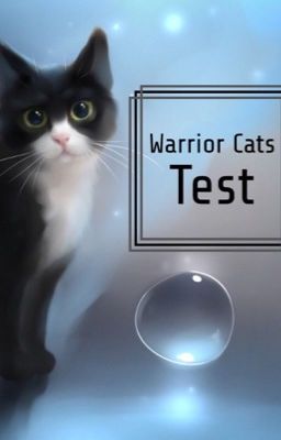 Großer Warrior Cats Test!😻🐈