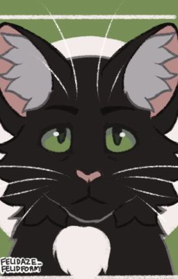 Guess the Warrior Cat!