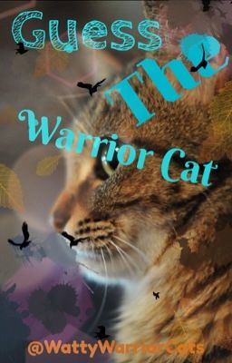 Guess The Warrior Cat