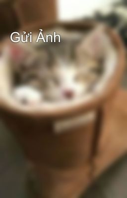 Gửi Ảnh