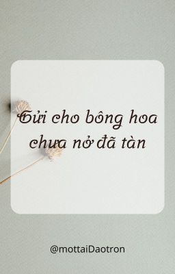 Gửi cho bông hoa chưa nở đã tàn.