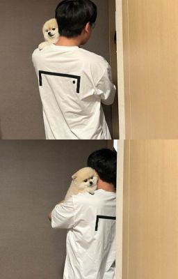 < GUMAYUSI >🌙 Behind the Stage .