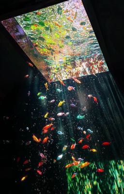 guria | in the name of love