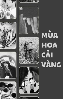 gyuhao | mùa hoa cải vàng