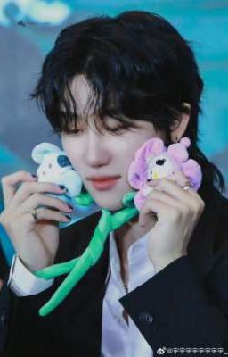 [Gyuhao][Seokhao][Wonhao] Nguy Rồi! Nhân Vật Lớn Đều Yêu Cùng Một Người 