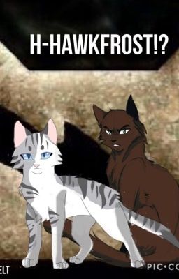 H-Hawkfrost!?