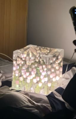 Hạ