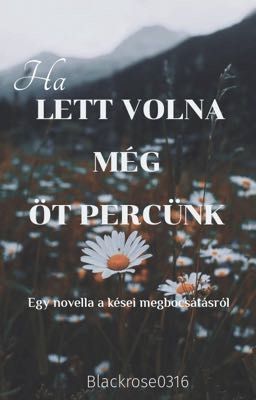 Ha lett volna még öt percünk /novella/