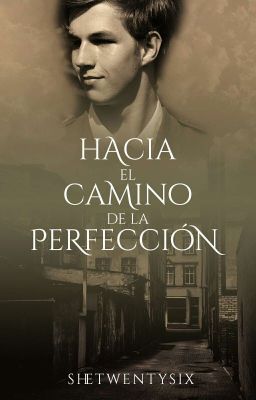 Hacia el camino de la perfección