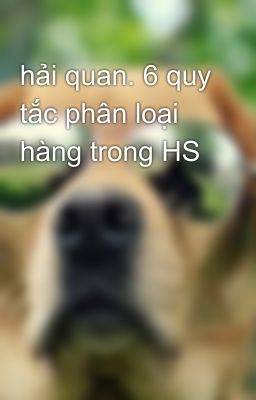 hải quan. 6 quy tắc phân loại hàng trong HS