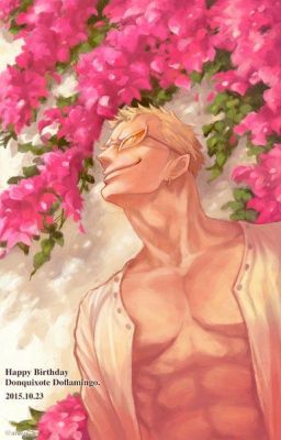 [ hải tặc ] ấm điều điệu Van (Doflamingo BG)