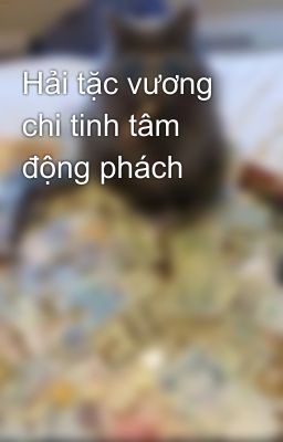 Hải tặc vương chi tinh tâm động phách