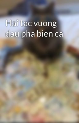 Hai tac vuong dau pha bien ca