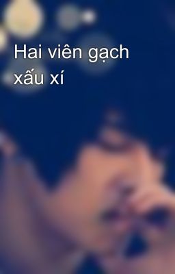 Hai viên gạch xấu xí