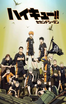 Haikyu!! 2 (hk x oc)