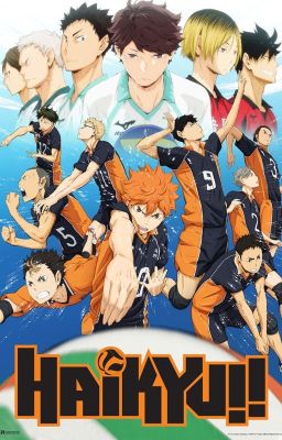 Haikyu!! Season 1 (hk x oc)