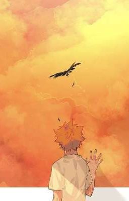 [Haikyuu/AllHinata]Vựt thẳm không đáy