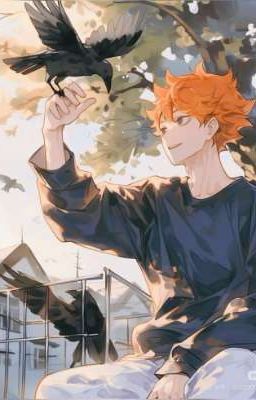 [ Haikyuu / AllHinta ] LÀM LẠI TỪ ĐẦU 