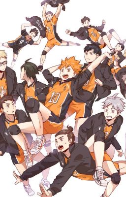 Haikyuu os (ich weiß, sehr kreativer Titel XD)